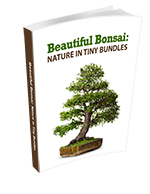 Beautiful Bonsai - Nature in Tiny Bundles eBook