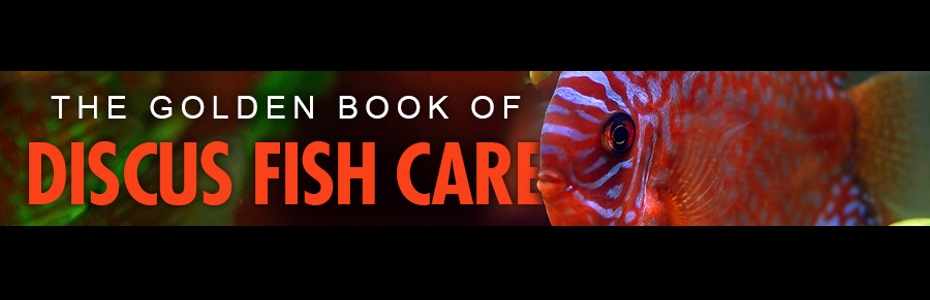 Discus Fish - Pompadour Fish - The Golden Book Of Discus Fish Care