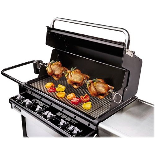 Weber Gas Grill Rotisserie Barbecue