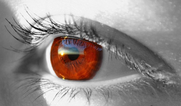 Ways to Improve Your Vision Brown Clear Eye