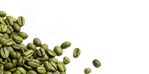 Green Coffee Reviews Pure Green Coffee Beans