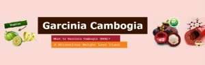 Garcinia Cambogia Benefits - Appetite Suppressant and Weight Loss Extract Supplement