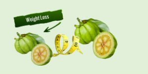 Garcinia Cambogia Weight Loss – Lose Weight with Fruit