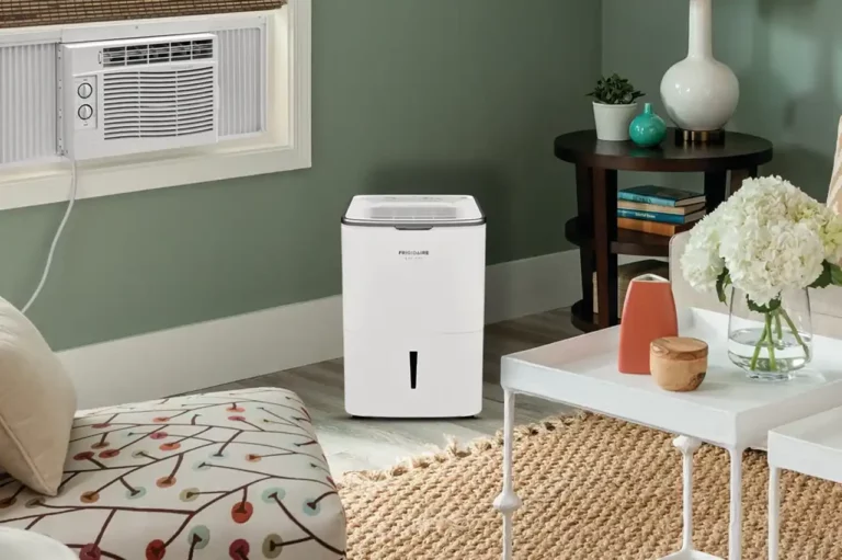 Dehumidifier for Basements – Dry Down Under