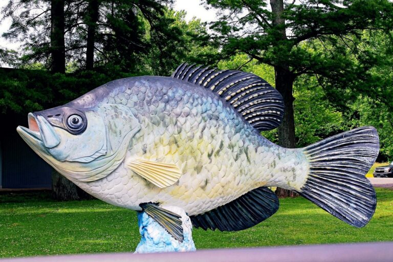 World Record Crappie – Monster And Boss Size Fish