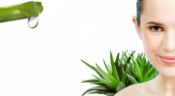 Organic Skin Care Recipes - Natural Aloe Vera Beauty Woman