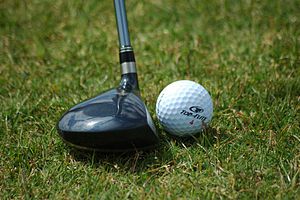 Golf Swing Driver - Driving Force - An Introduction to Golf Swing Drivers